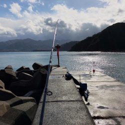 期待はしてなかったが！