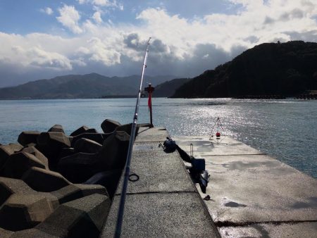 期待はしてなかったが！