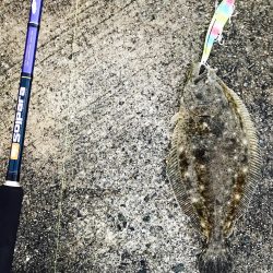 ルアーでヒラメ