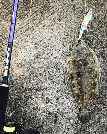 ルアーでヒラメ