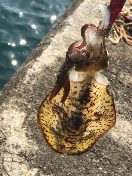 強風回避コースでランガン