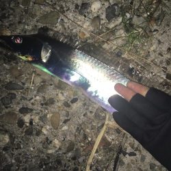 シーバス ハズレ