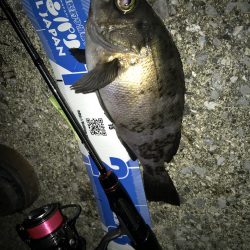 アジング！時々メバリング！