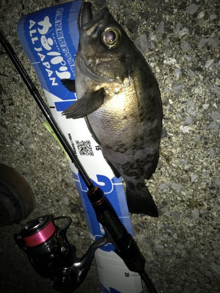 アジング！時々メバリング！