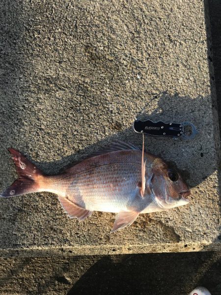 なんとか釣れました(^^)