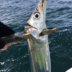 初のオフショア