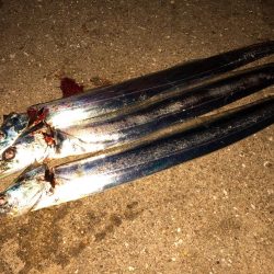 タッチーチャレンジ(^^)