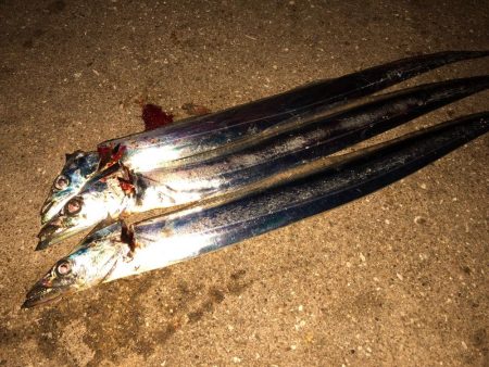 タッチーチャレンジ(^^)