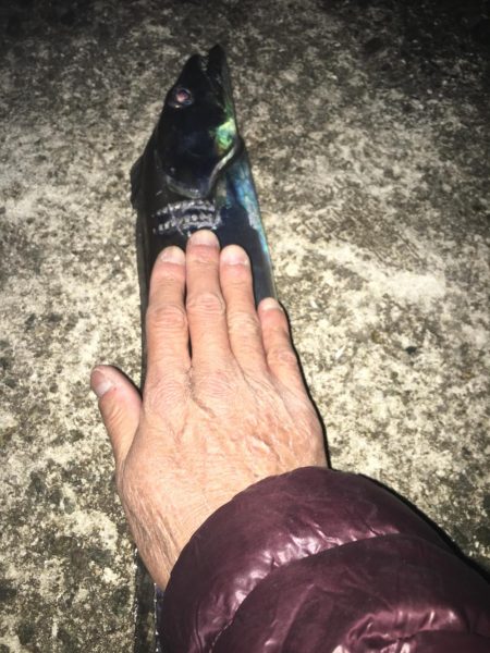 激シブの中値千金！