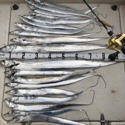 タチウオジギング  サーベリング