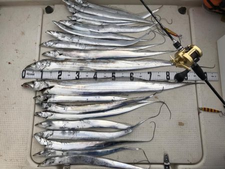 タチウオジギング  サーベリング