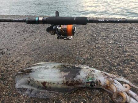 舞鶴から伊根までのランガンエギング