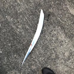 釣果も気温も寒い