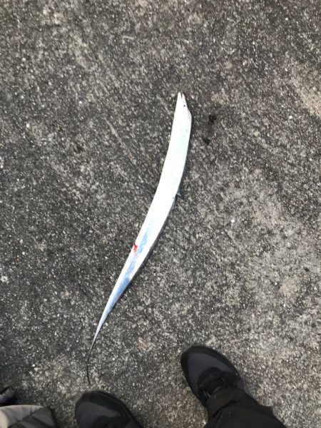 釣果も気温も寒い