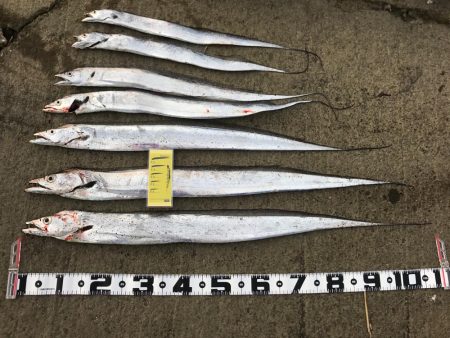 やったりましたドラゴン3匹!