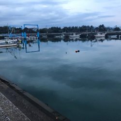 ワームでハゼ釣り