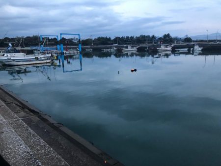 ワームでハゼ釣り