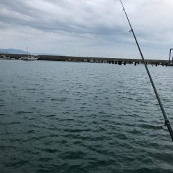 キスは一体何処へ？