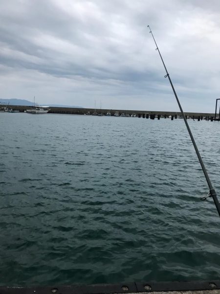 キスは一体何処へ？