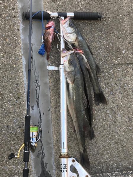 三部テトラは遠すぎる