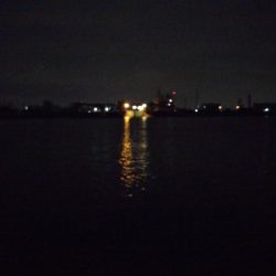 ボウズ逃れの1本