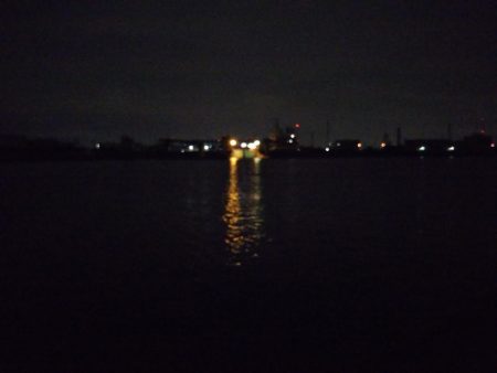 ボウズ逃れの1本