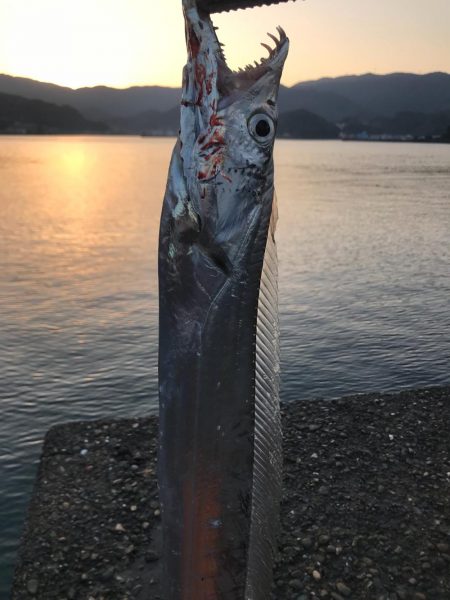 ドラゴン狙いで