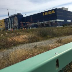 大阪奥湾サビキ コマセの消化