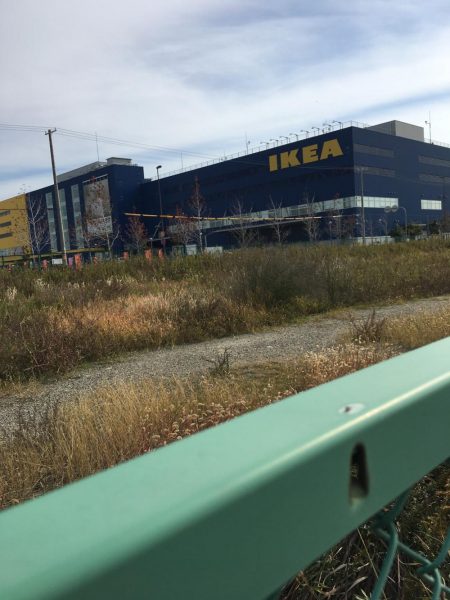 大阪奥湾サビキ コマセの消化