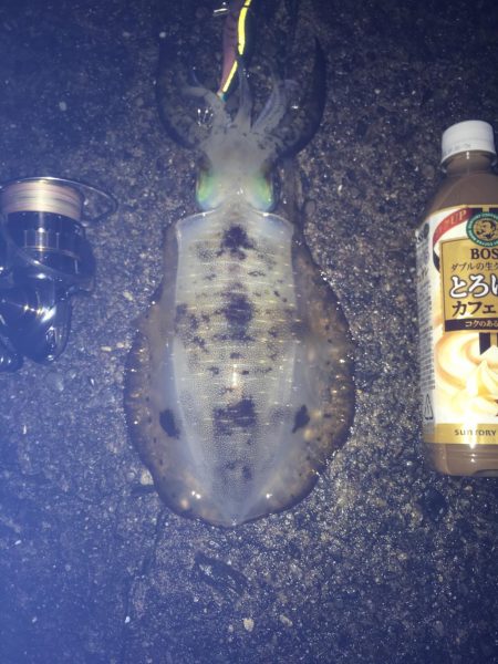 厳しかったです