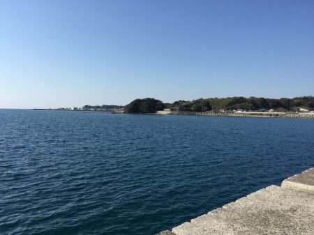 ザ！五目釣り！