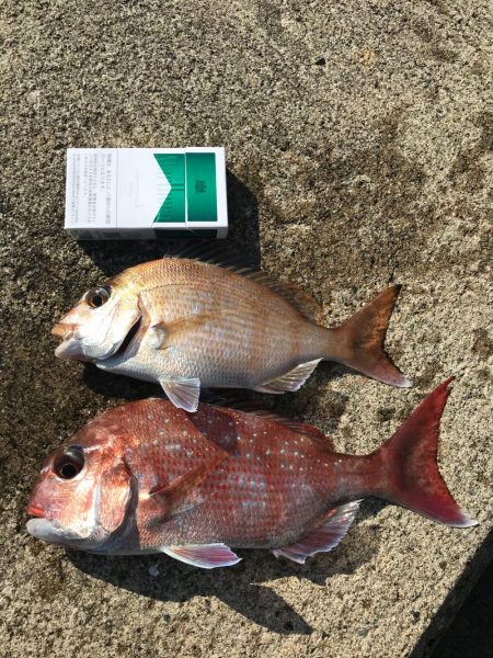 今日はチャリコのみ(;_;)