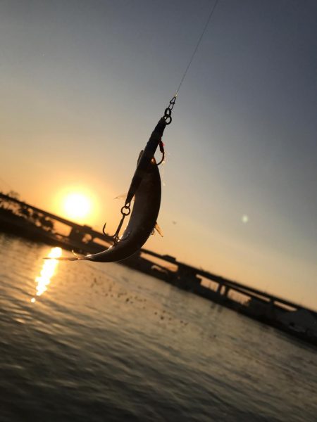 渋潮サイクリング
