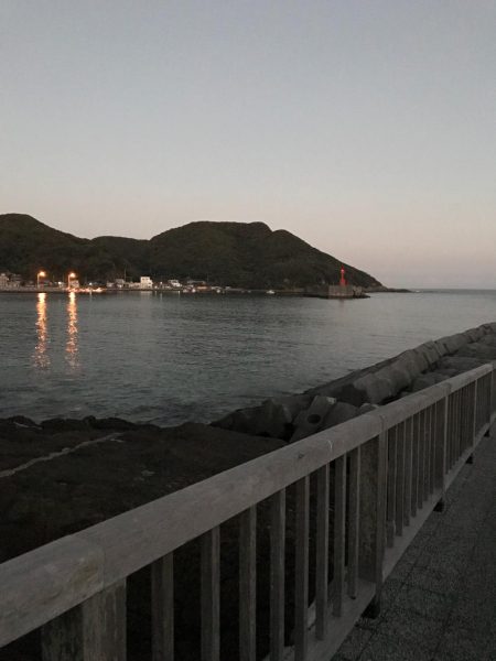 初佐多(￣＾￣)