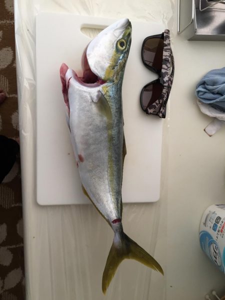 釣りへのハートは寒さに負けねぇ