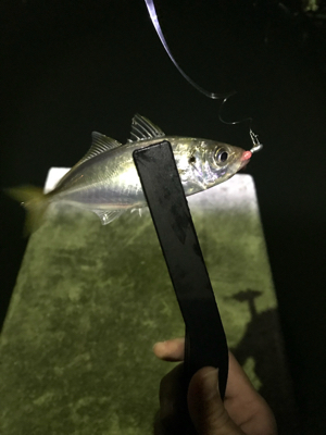 五目ライトゲーム