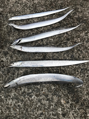 リベンジ成功！