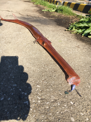 上がるまでわからなかった