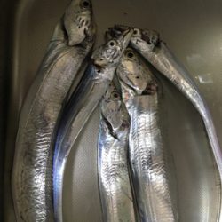 本気でやればもっと…