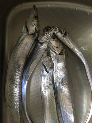 本気でやればもっと…