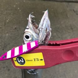 何にでも反応が良かった。