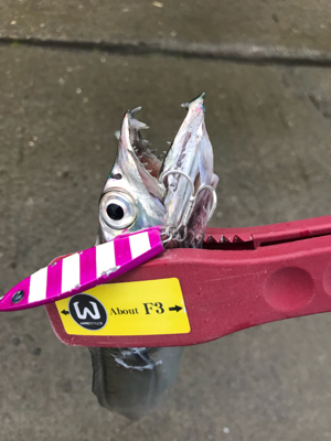 何にでも反応が良かった。