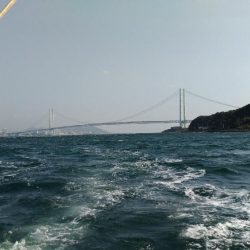 淡路沖　ウマズラ！