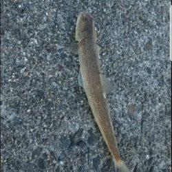 一部しか写メとってないけど