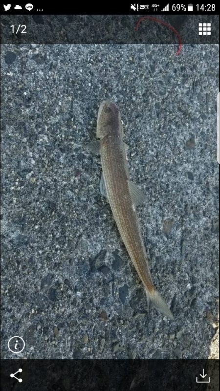 一部しか写メとってないけど