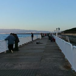 釣り部 釣行記 6