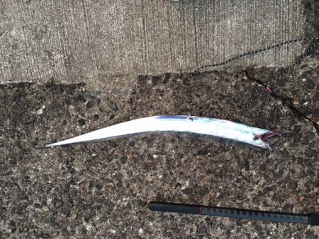 護岸は終了ですね