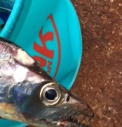 爆風の中、なんとか