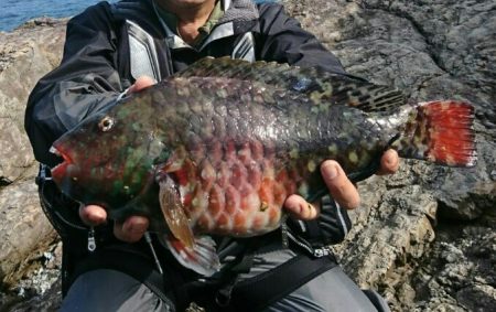 尾鷲で五目釣り