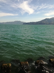 午後からキス釣り